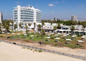 palm-beach-big